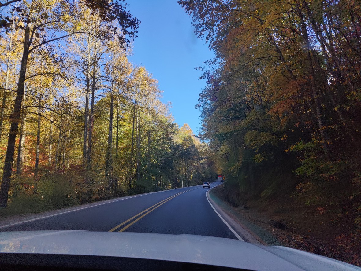 Birthday & First Anniversary&nbsp;Adventures